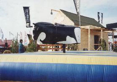 Toro mecanico venta para fiestas Toro mecanico venta para eventos