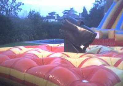 Toro mecanico para eventos sociales. Juegos en eventos sociales
