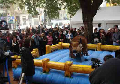 Alquiler juego de sapo para eventos. juego de sapo para fiestas